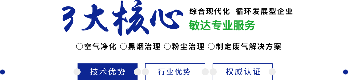 嗯啊大鸡巴操死我的骚穴在线观看敏达环保科技（嘉兴）有限公司